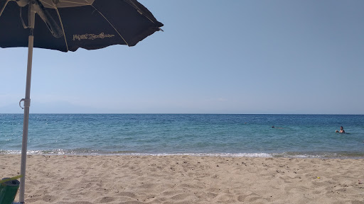 summer sun shine