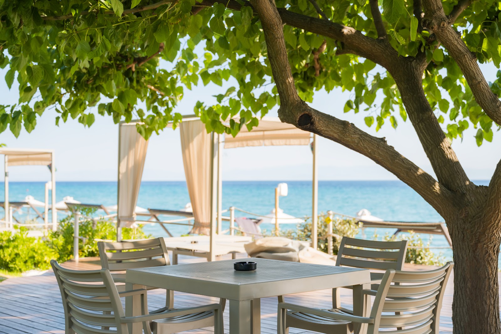 Καφέ Shy Shark Seaside Bar Χαλκιδικής στο Πολύχρονο