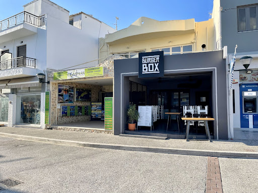 Burger Box