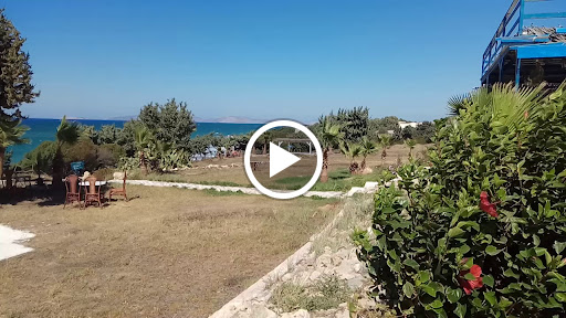 Dolphin Bay