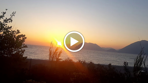 Καντίνα Δάφνες