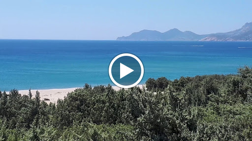 Magic Beach