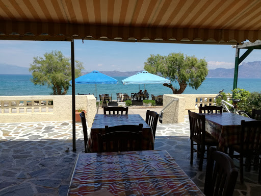 Ο Ιππόκαμπος (Ippokampos)