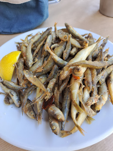 Ο Τζίτζικας