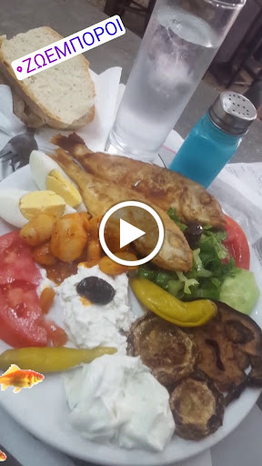 ΟΙ ΖΩΕΜΠΟΡΟΙ