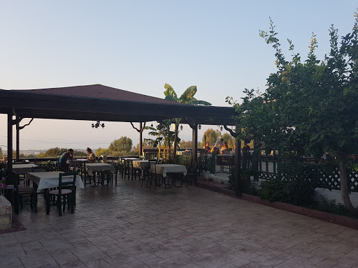 Panorama cafe