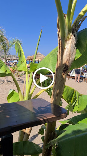 PIROFANI FISH TAVERNA