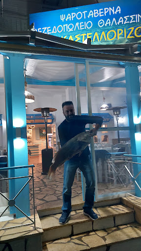 ΨΑΡΟΤΑΒΕΡΝΑ " ΤΟ ΚΑΣΤΕΛΛΟΡΙΖΟ "