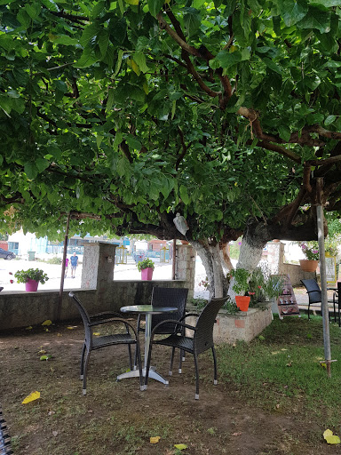 Sorento Restaraunt BAR