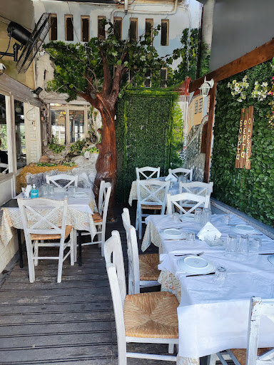 Σούρτα Φέρτα
