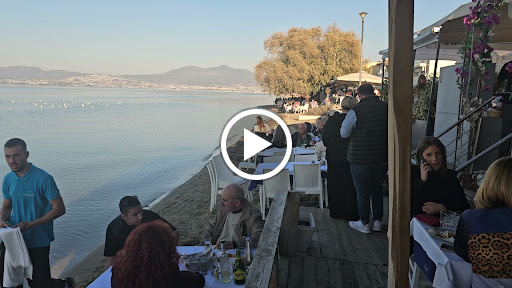 ΣΤΕΦΑΝΟΣ Ψαροταβέρνα-Ουζερί