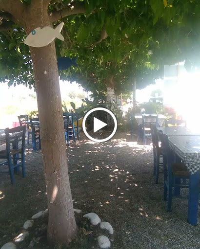 To Fresko - Fish Restaurant (Ψαροταβέρνα Το Φρέσκο Ψάρι)