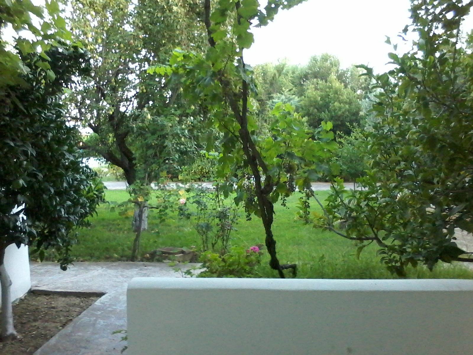 Aetos Beach Bungalows