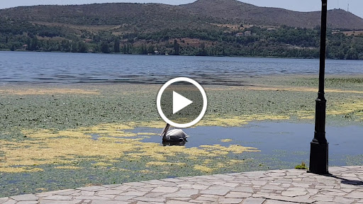 Αναψυκτήριο "Το Ντολτσό"