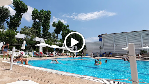 Arena Pool Bar
