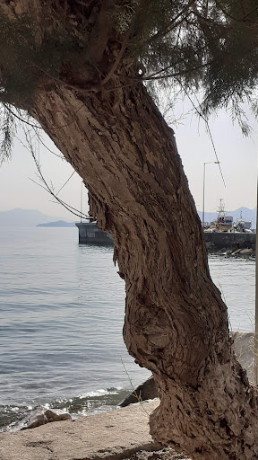 Café Δημαρχείο