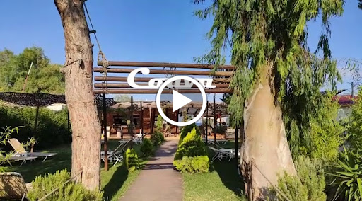 Coava all day Cusine Bar