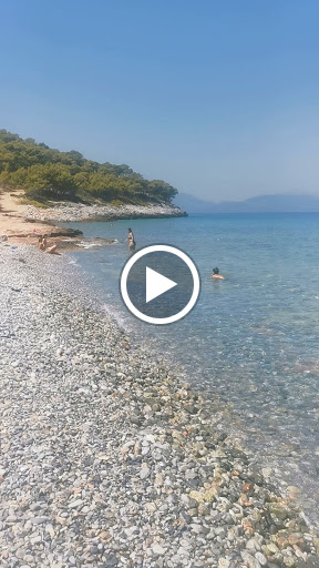 Dragonera beach bar