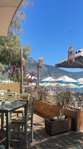 GiDi Gastro (Γαστρονομική Χασαποταβέρνα)