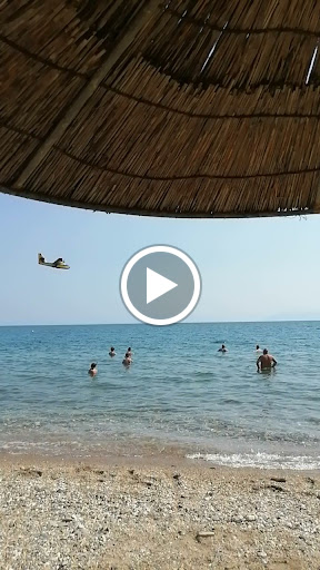 Janeiro Beach Bar