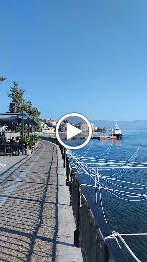 Καφεγλυκοπωλείο Ο Χαλκιδέος
