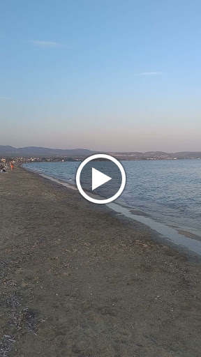 Καντίνα ΝΙΝΟΣ