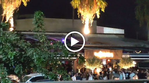 Palmera All Day Bar