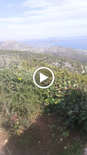 Πανόραμα καφέ