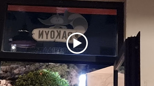 Ρακούν
