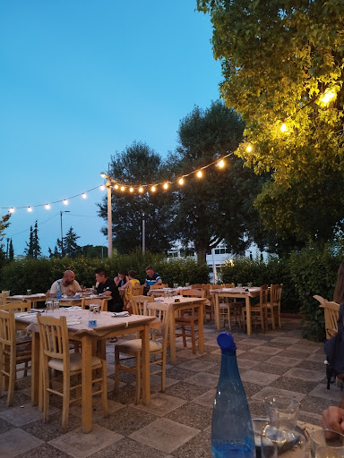 Rivolini