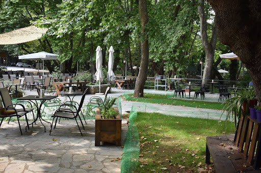 The Bella Garden
