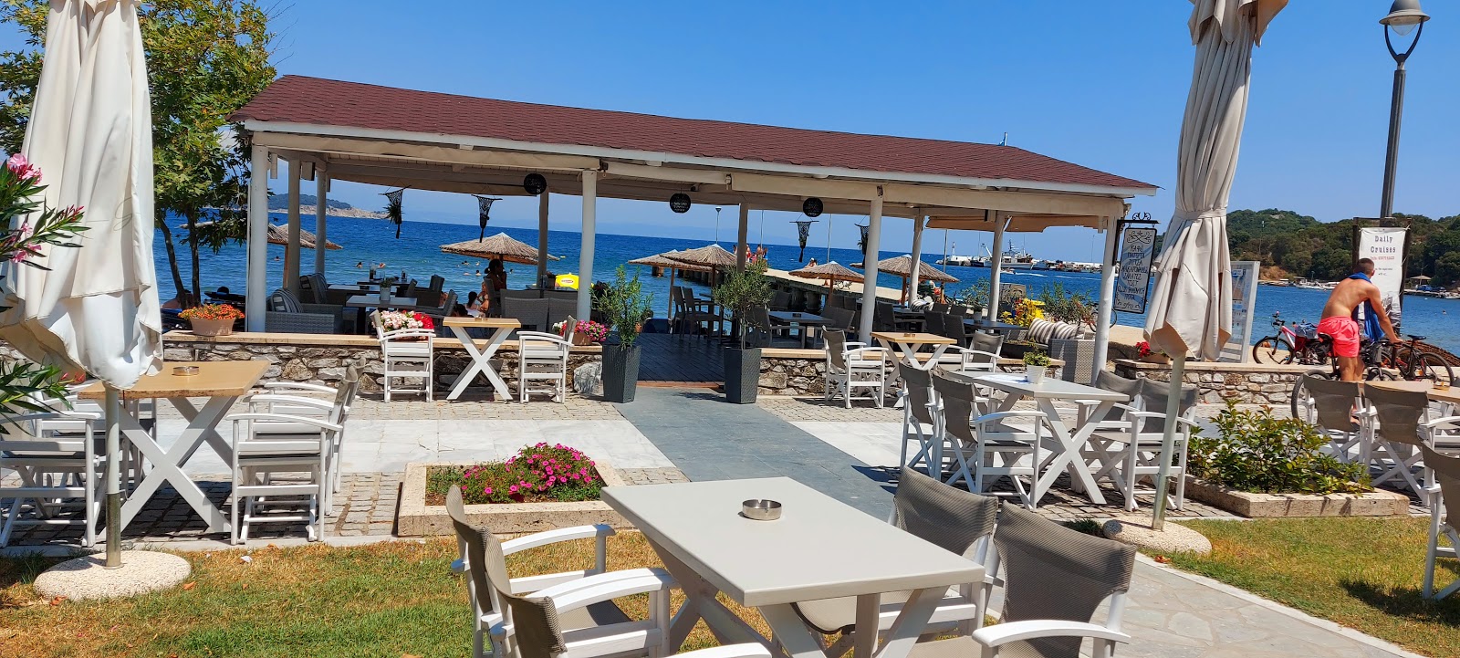 <h1>Εστιατόριο Molos Cafe Pizza Pasta στην Ολυμπιάδα, Χαλκιδική</h1>