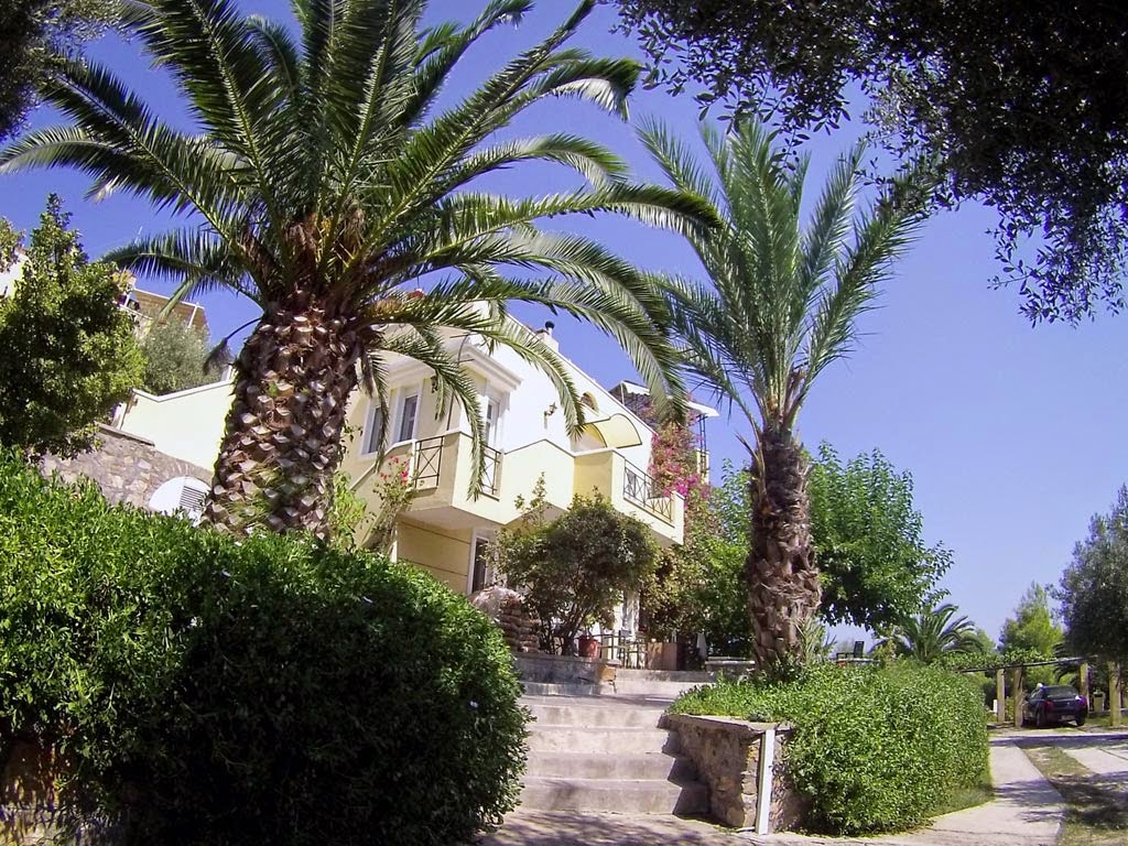 Εστιατόριο Porto Valitsa Resort στο Παλιούρι, Χαλκιδική - Βαθμολογία 4.5/5