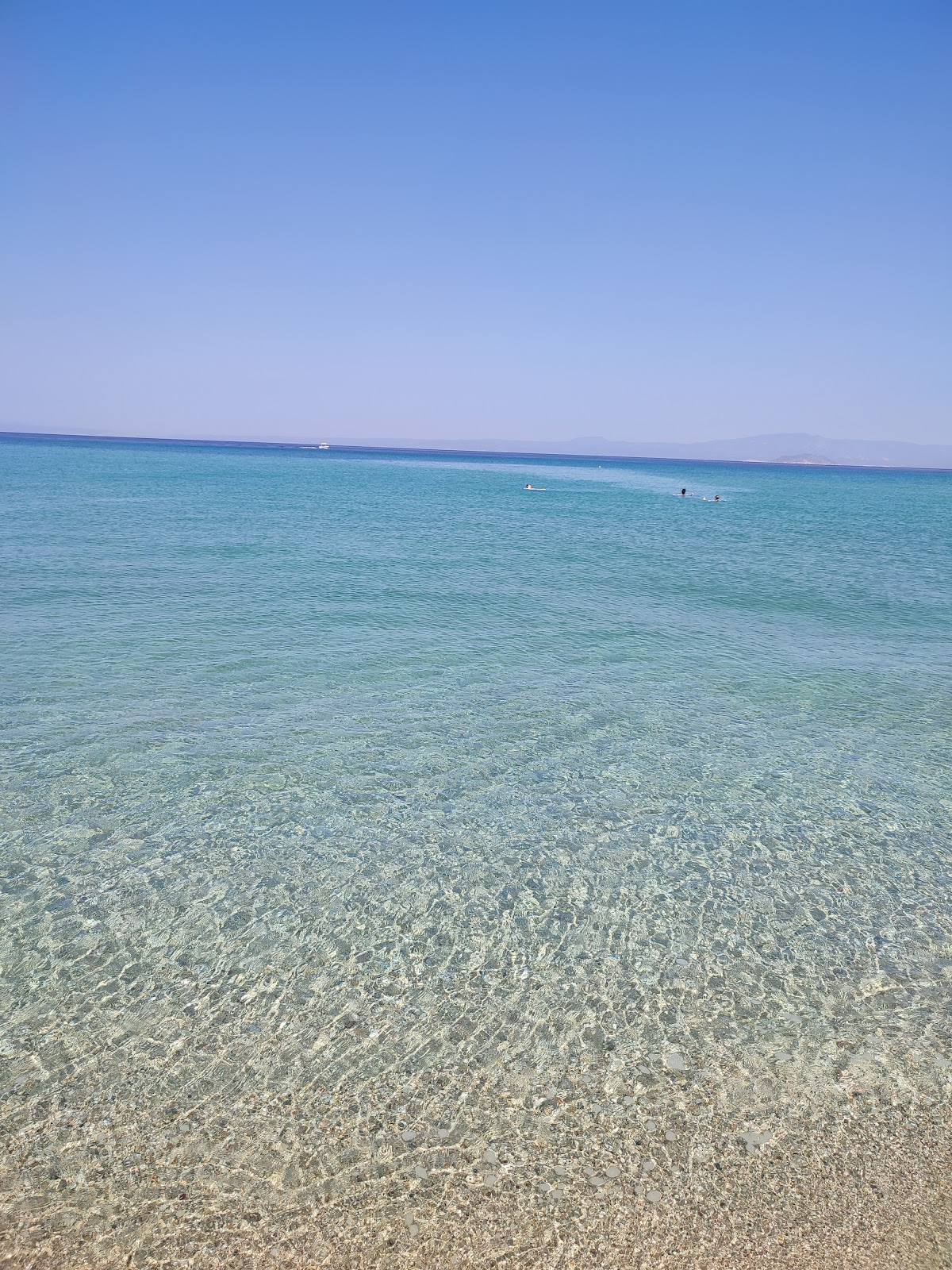 Παραλία Παλλήνη: Ένας Παράδεισος στην Πευκοχώρα