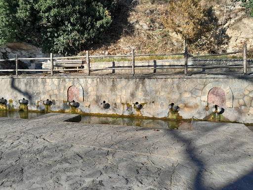 Απόσκεπος Καστοριάς