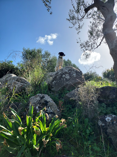 Καμπος