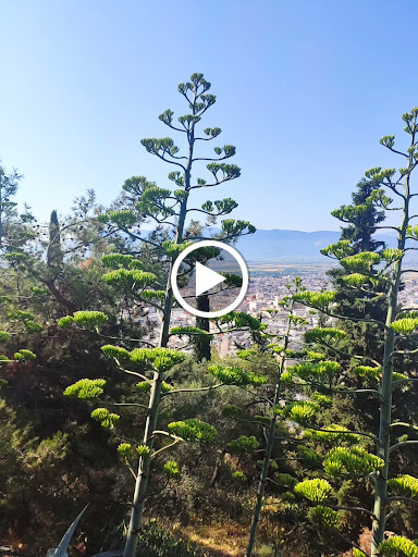 Κάστρο Λαμίας