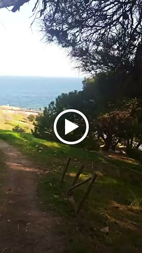 Άλσος Τσαμάκια