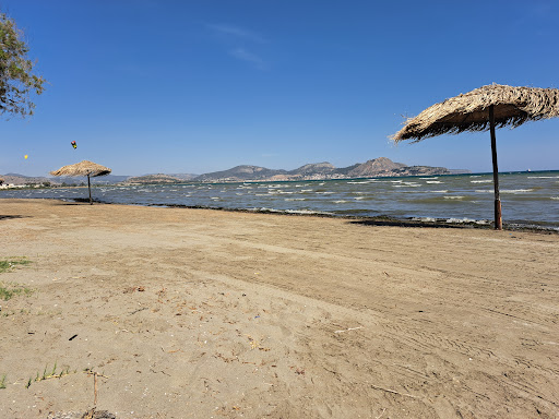 Παραλία Δαλαμανάρας