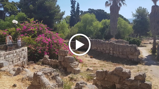 Πλάτανος του Ιπποκράτη