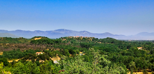 Βελιγοστή (Σαμαρά)