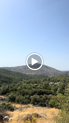 Avgonima All Seasons Hotel