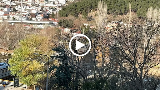 Έλενα