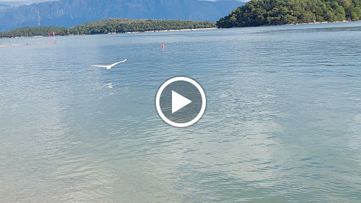 Nydri Beach Hotel