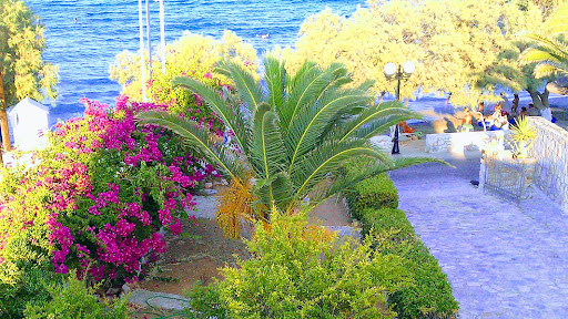 Villa Dolphin